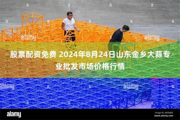 股票配资免费 2024年8月24日山东金乡大蒜专业批发市场价格行情